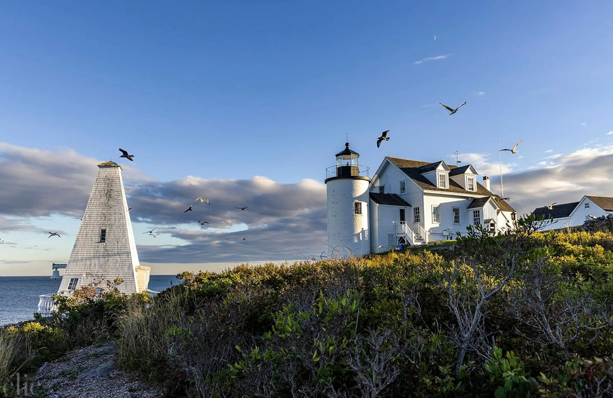 The Maine House II: Inland, Inshore and On Islands