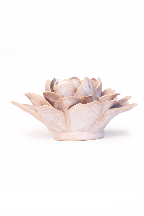 Waterlily July Birth Flower