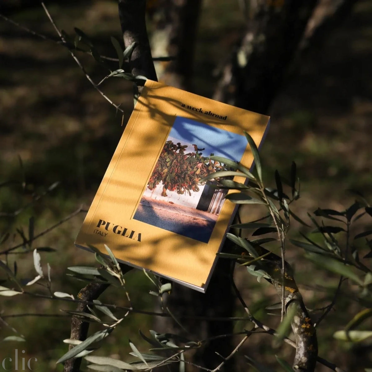 A Week Abroad Puglia