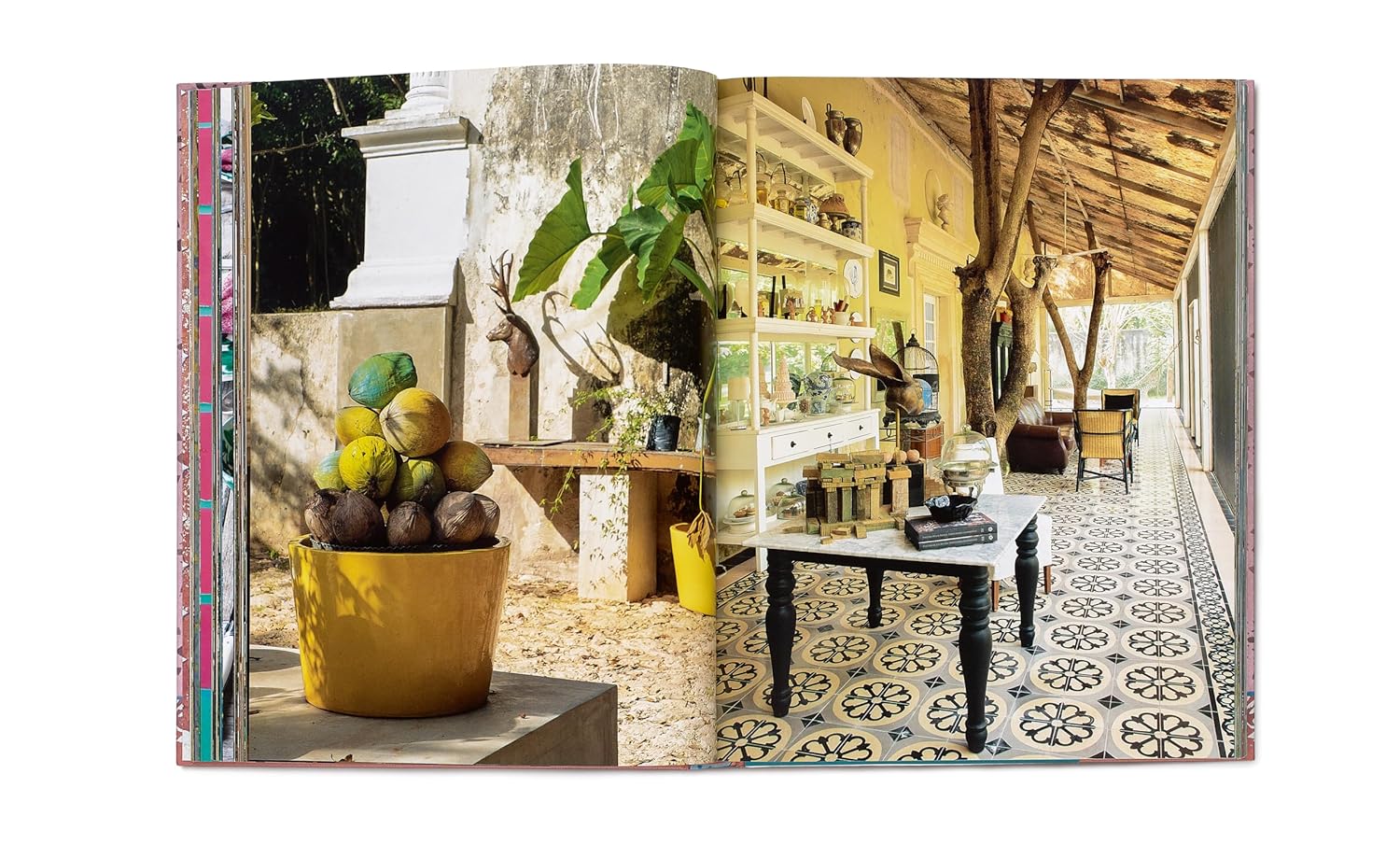 Inside Yucatán: Hidden Mérida and Beyond