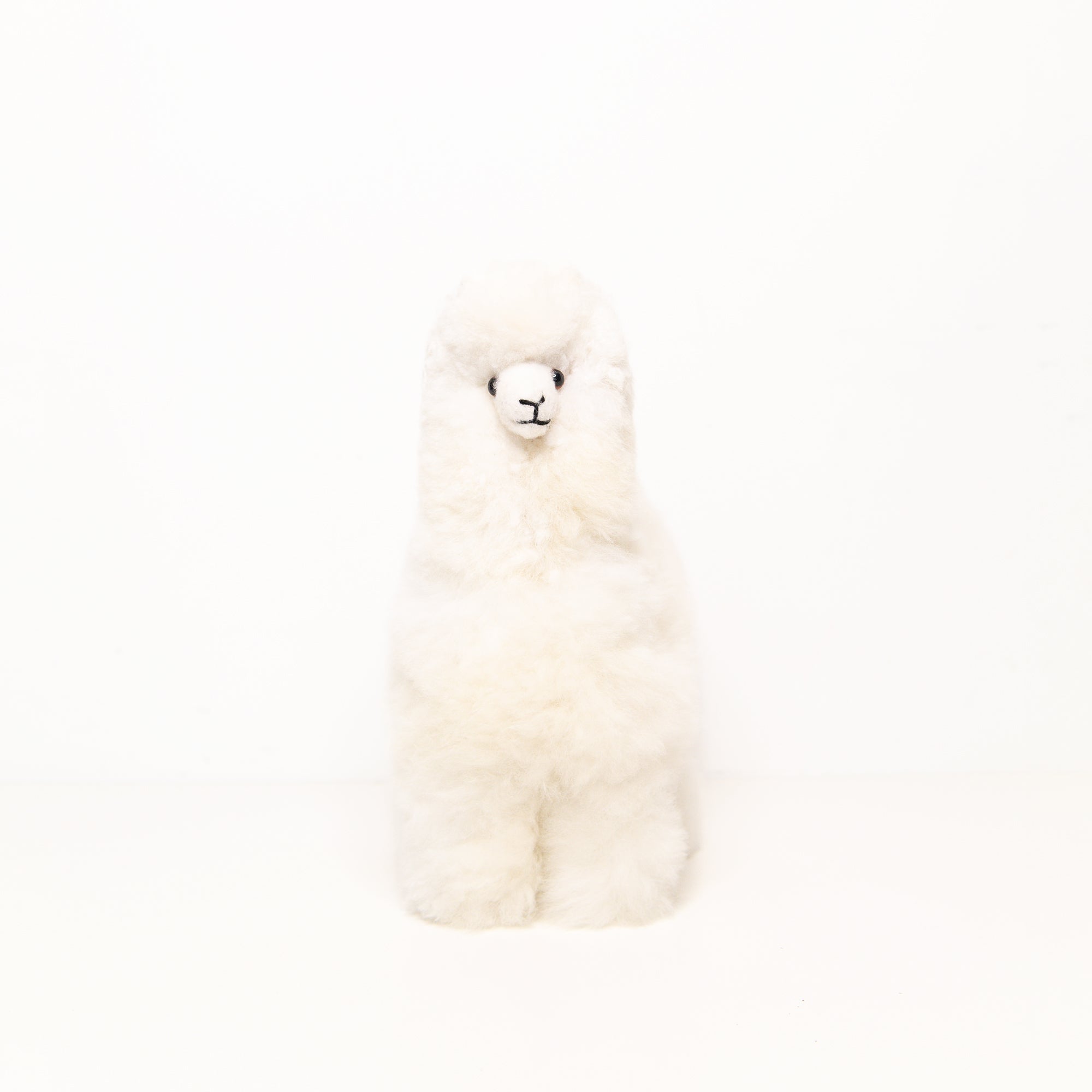 Medium Plush Alpaca in White