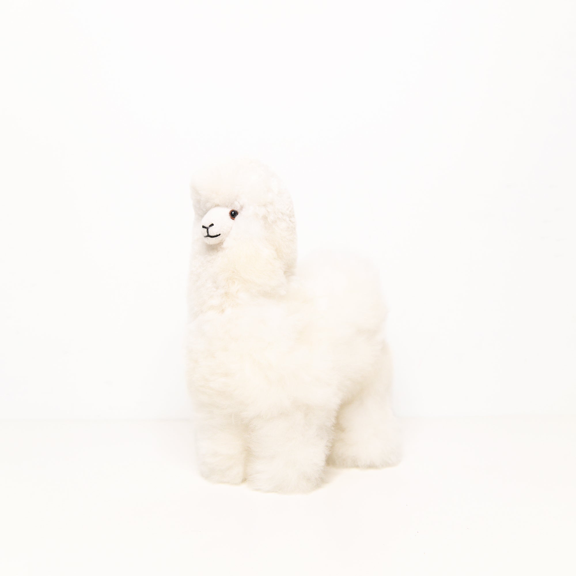 Medium Plush Alpaca in White
