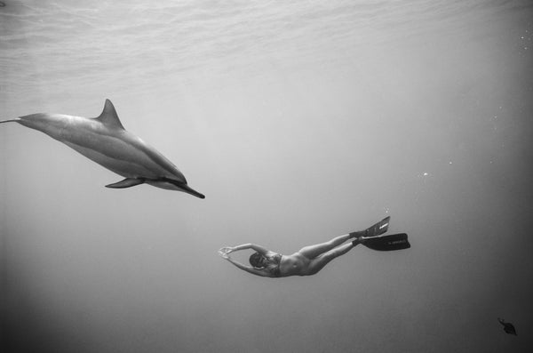 Kimi Werner with Dolphins #4 (B-342) by Wayne Levin