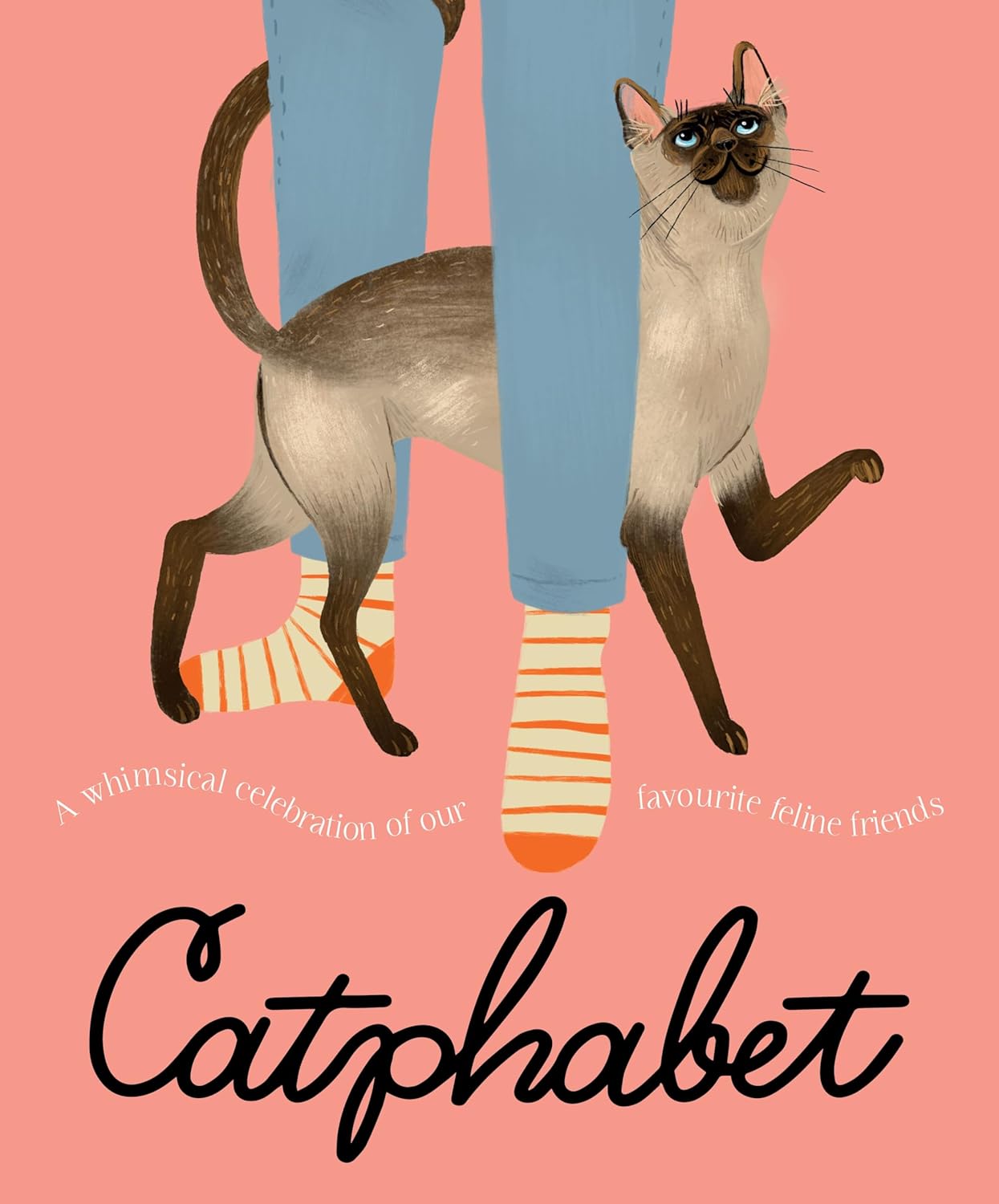 Catphabet: A whimsical celebration of our favourite feline friends