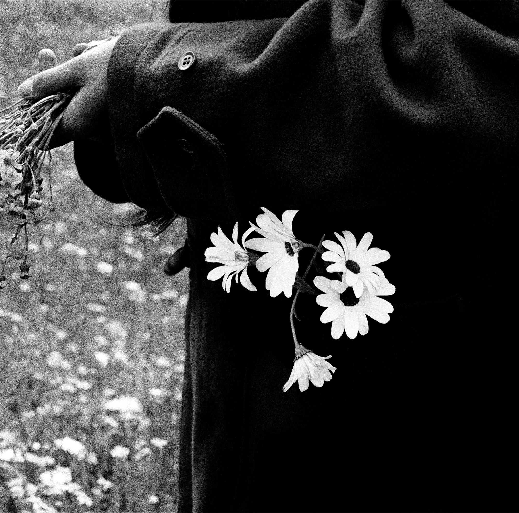 Cowboy Kate - Bes with Daisies by Sam Haskins