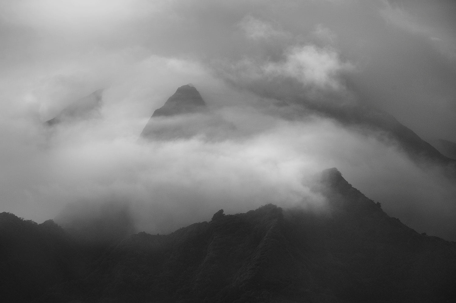 Ko`olau #177 (D-177) by Wayne Levin