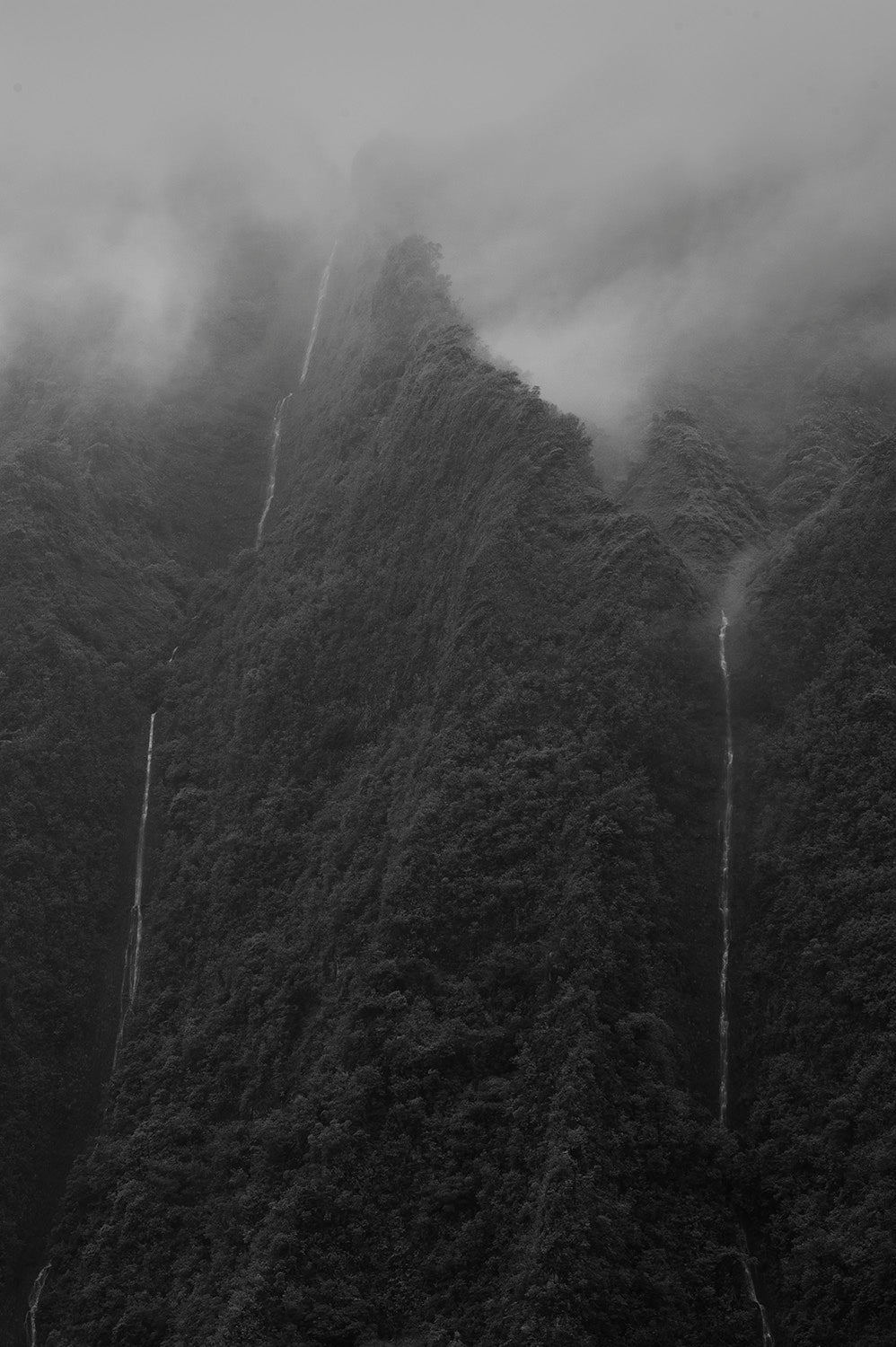 Ko`olau #205 (D-205) by Wayne Levin