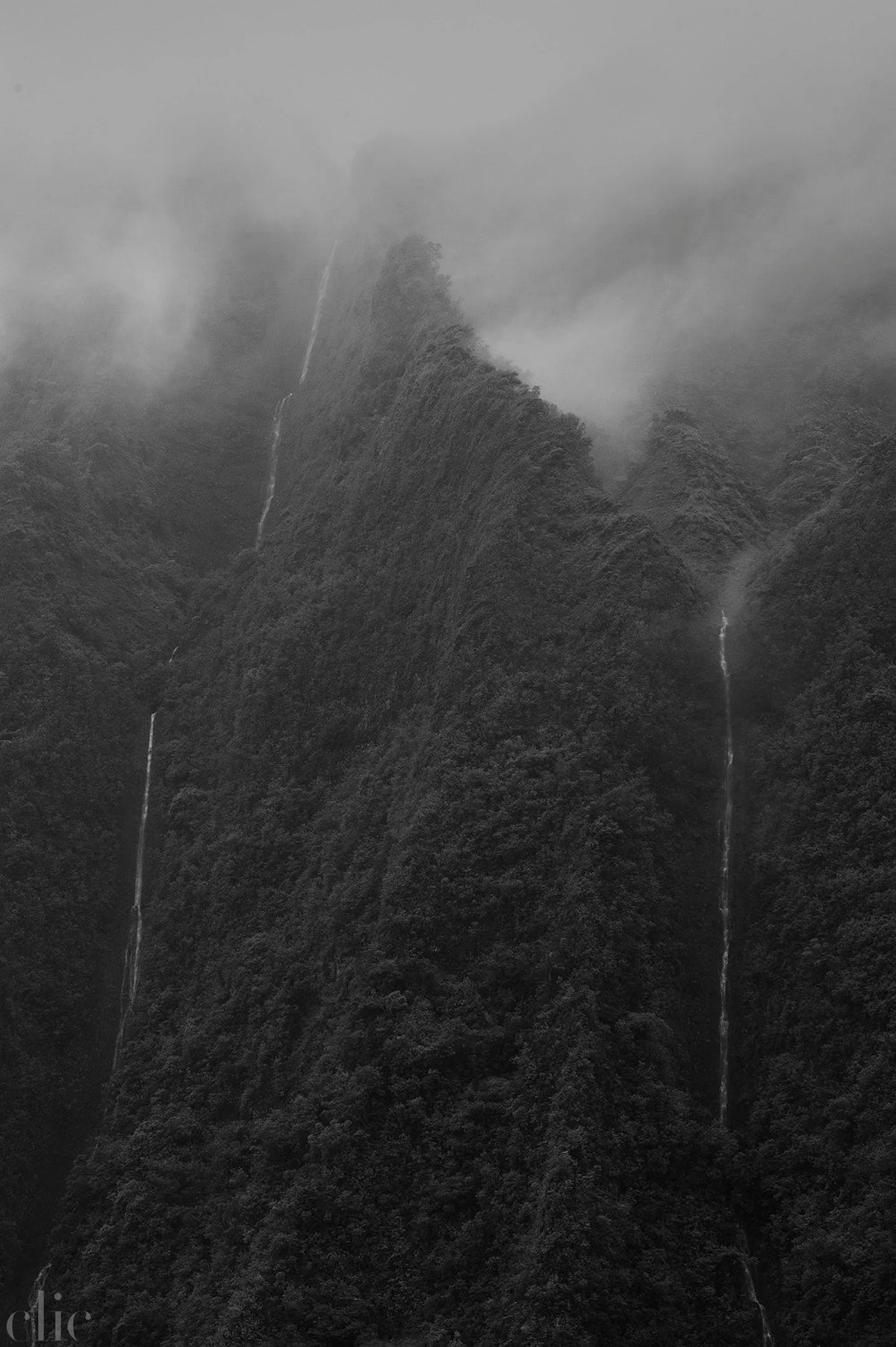 Ko`olau #205 (D-205) by Wayne Levin