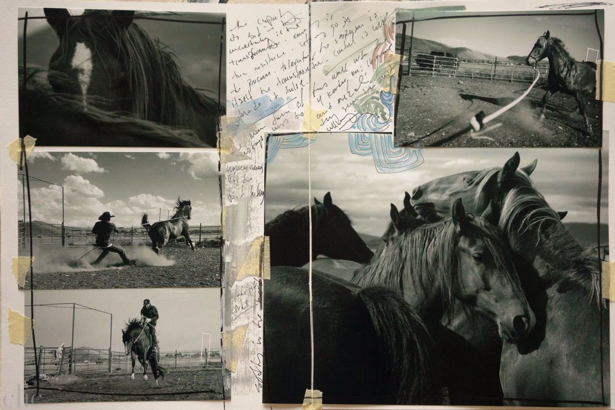 Mustang Journal 3 by Nick Turner