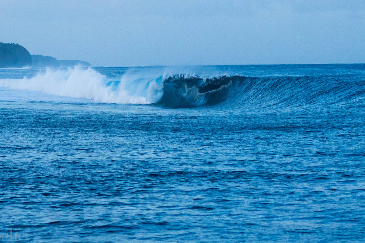 Wave 3, Fiji by Nick Turner HIDE BEATRICE 01/07/2025