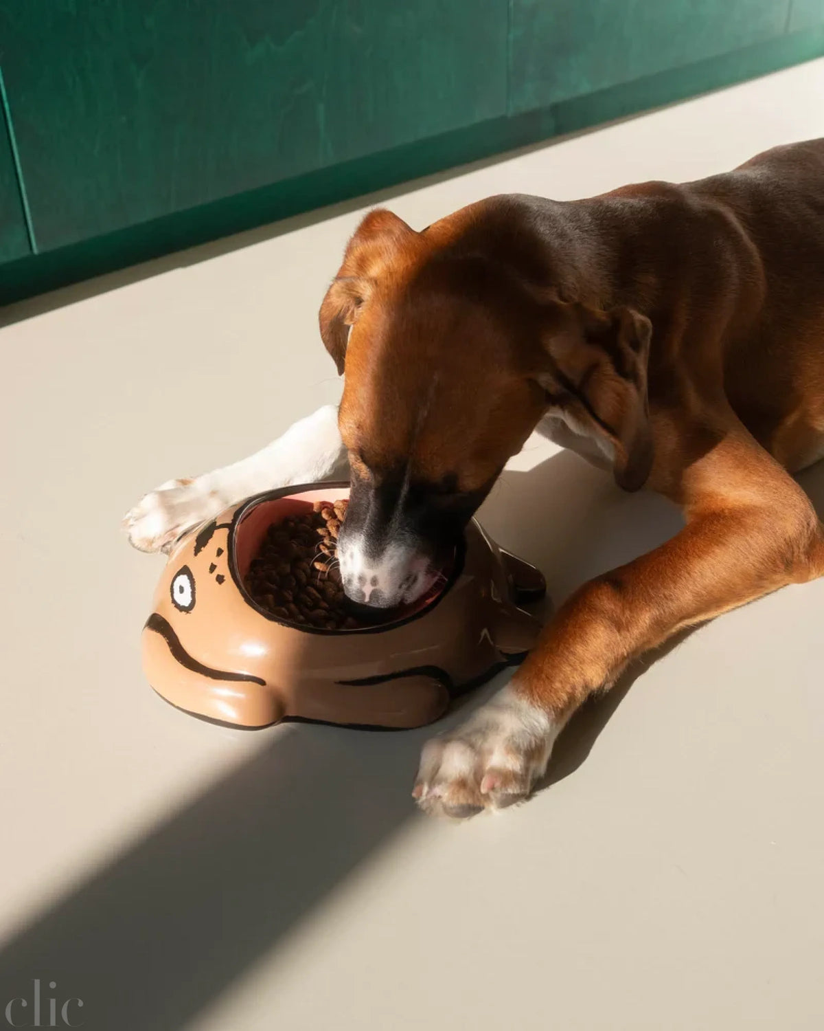 Dog food Bowl