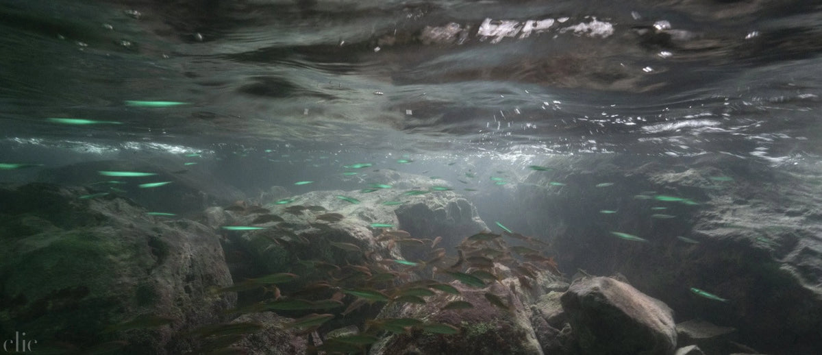 The Edge #58 by Wayne Levin