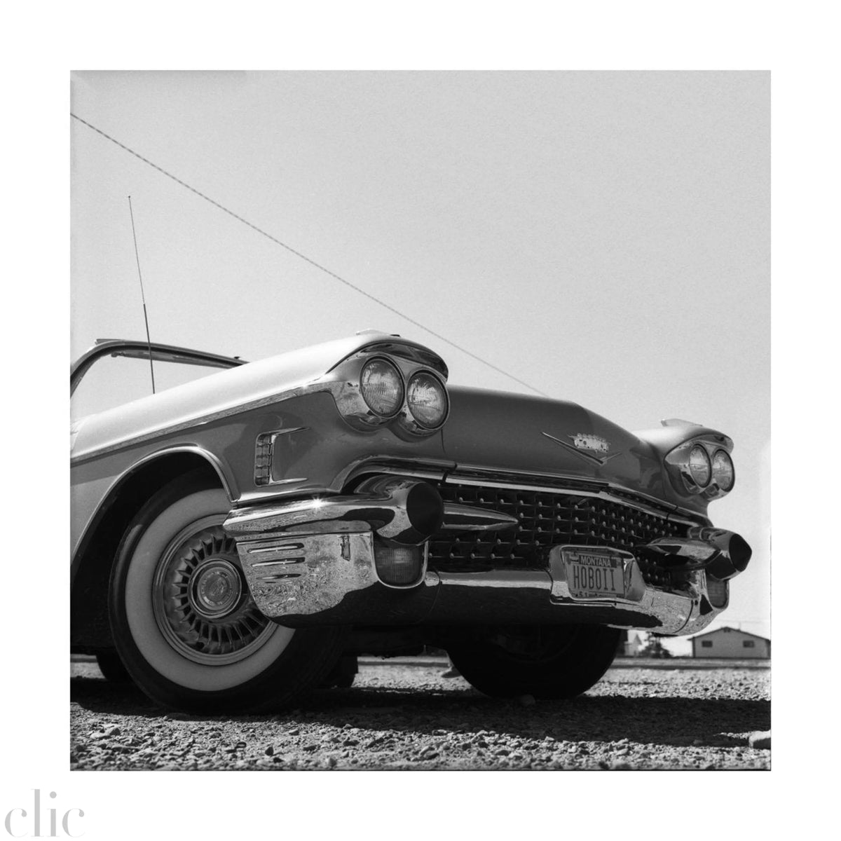 59 Caddy, 1983 by Drew Carolan