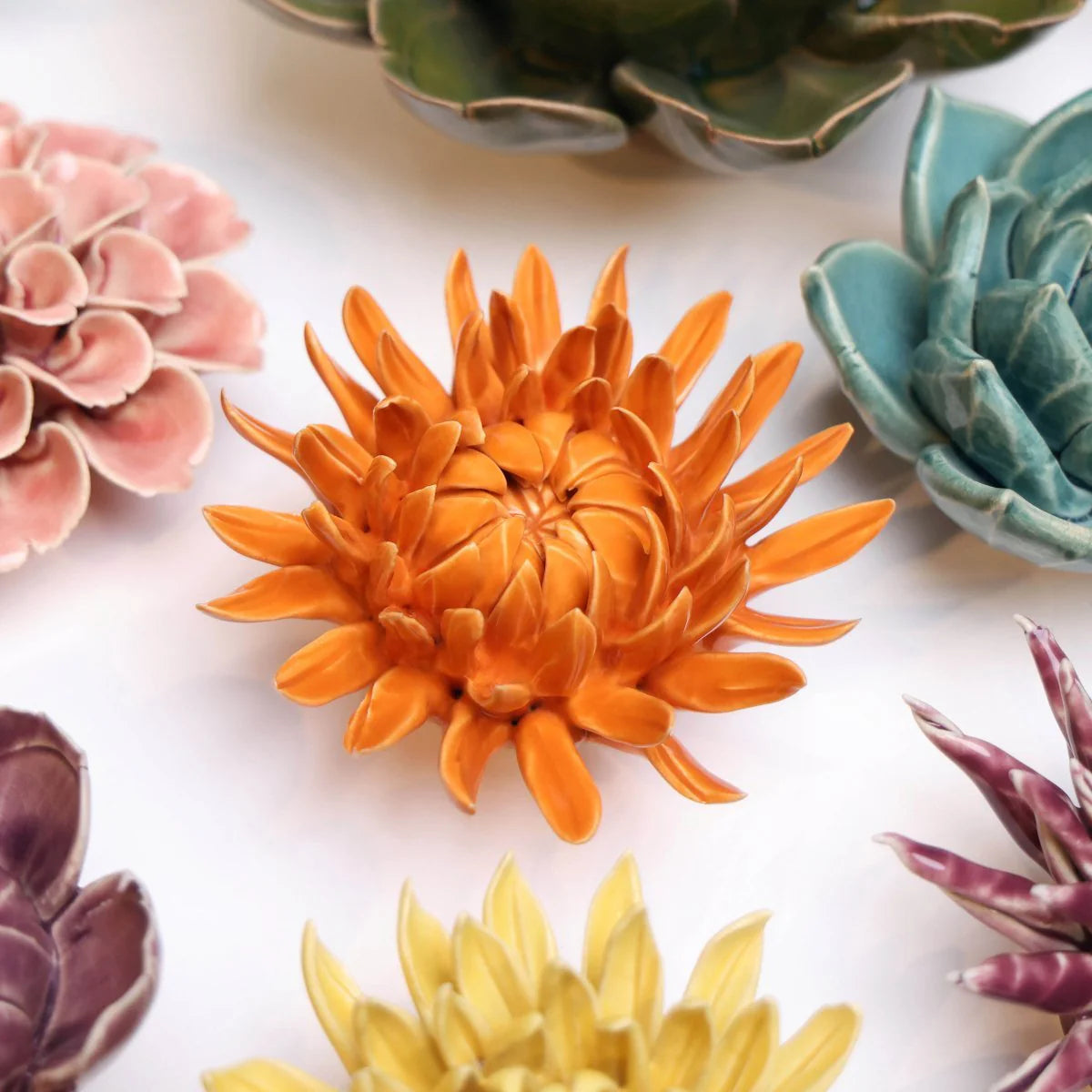 English Garden Mum in Orange, from Chive