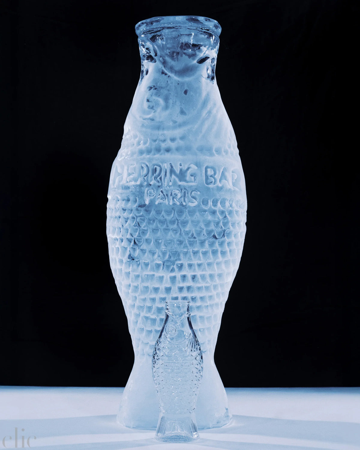 Fish & Fish Carafe in Transparent