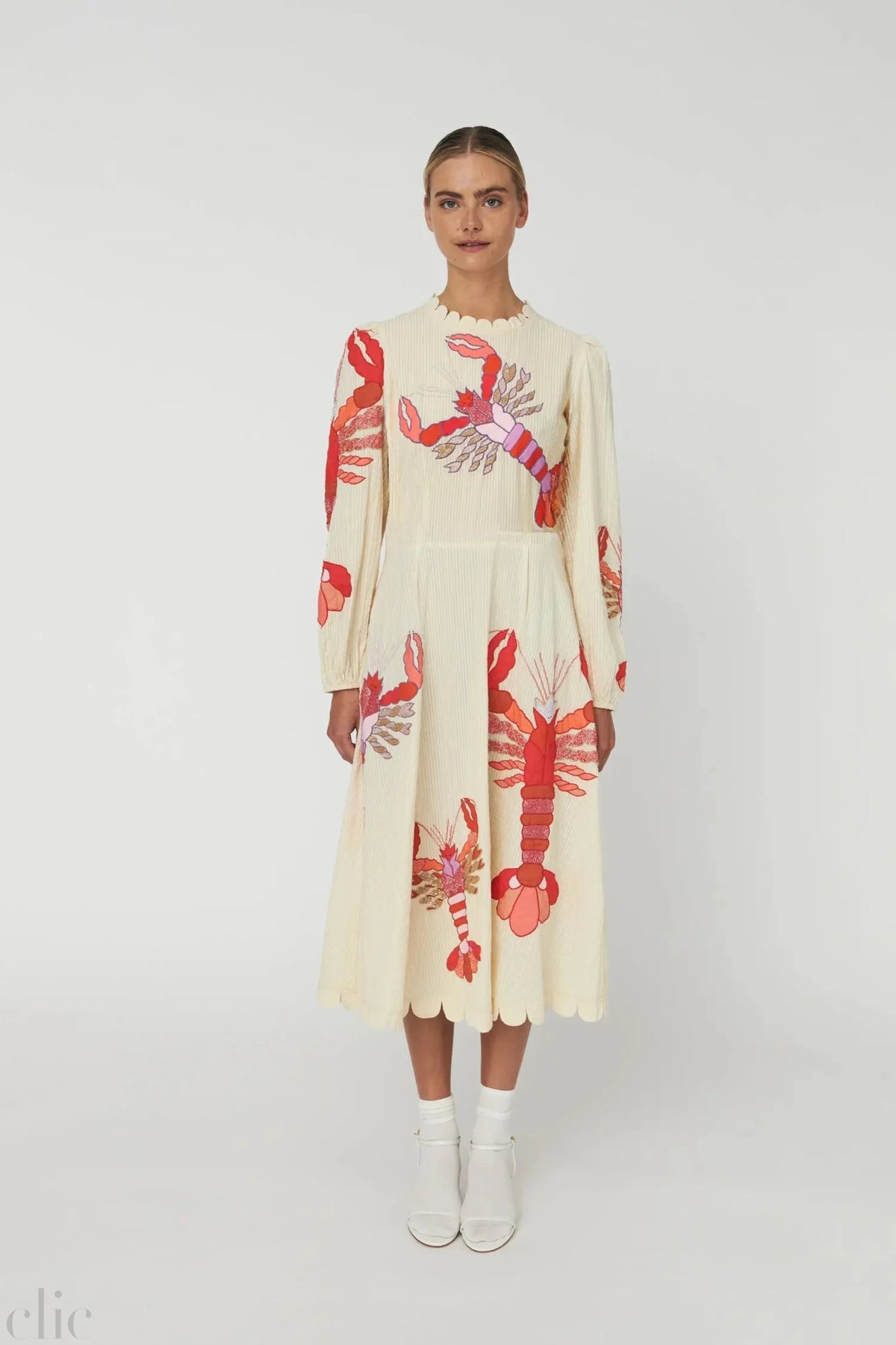 Embroidered Midi Dress in Multicolor, from Stella Nova