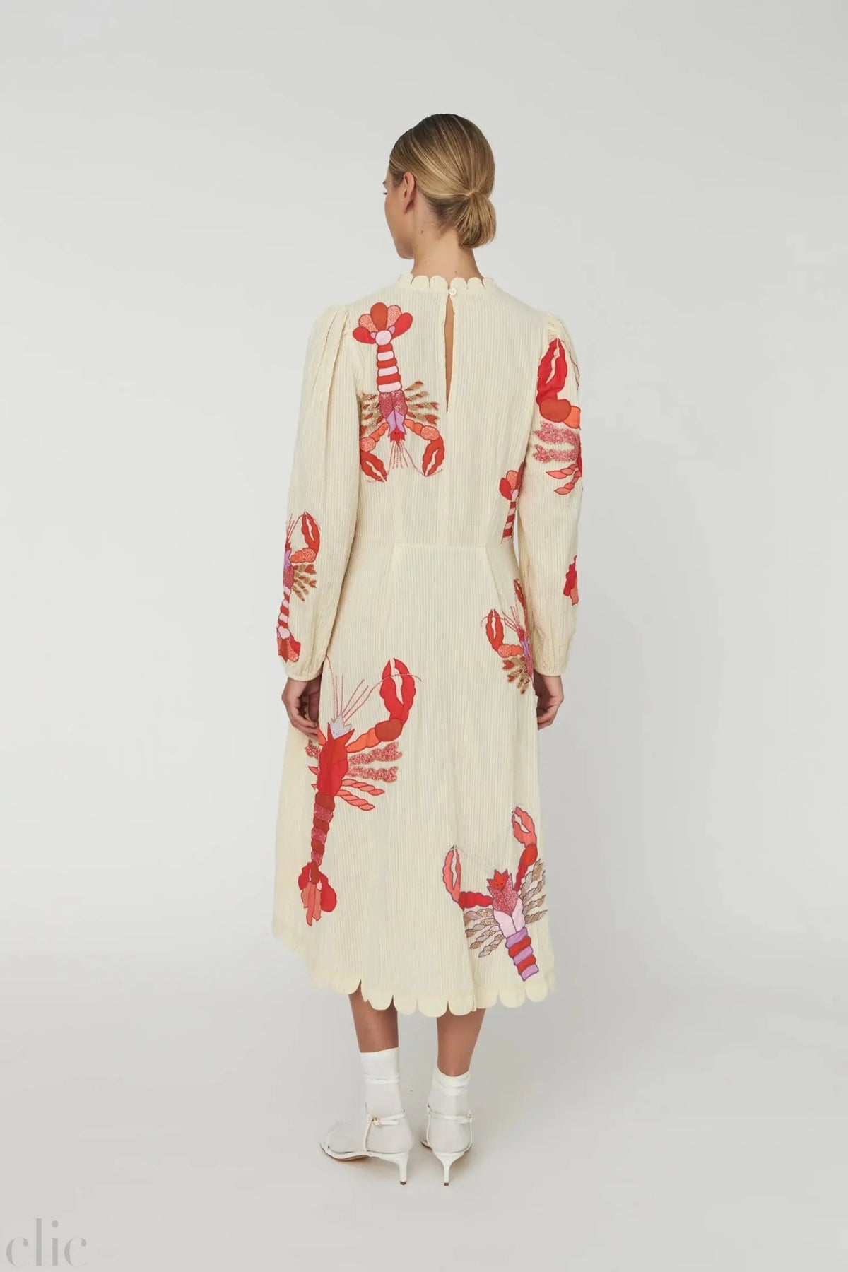 Embroidered Midi Dress in Multicolor, from Stella Nova