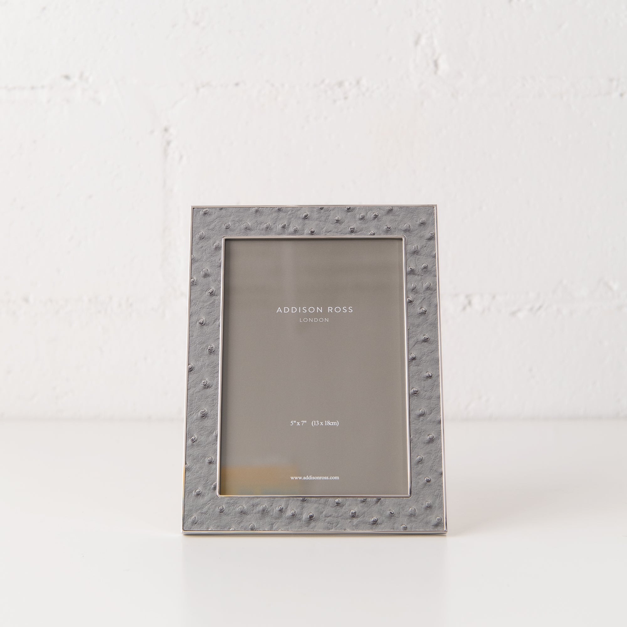 5x7 Urban Ostrich & Silver Frame, from Addison Ross