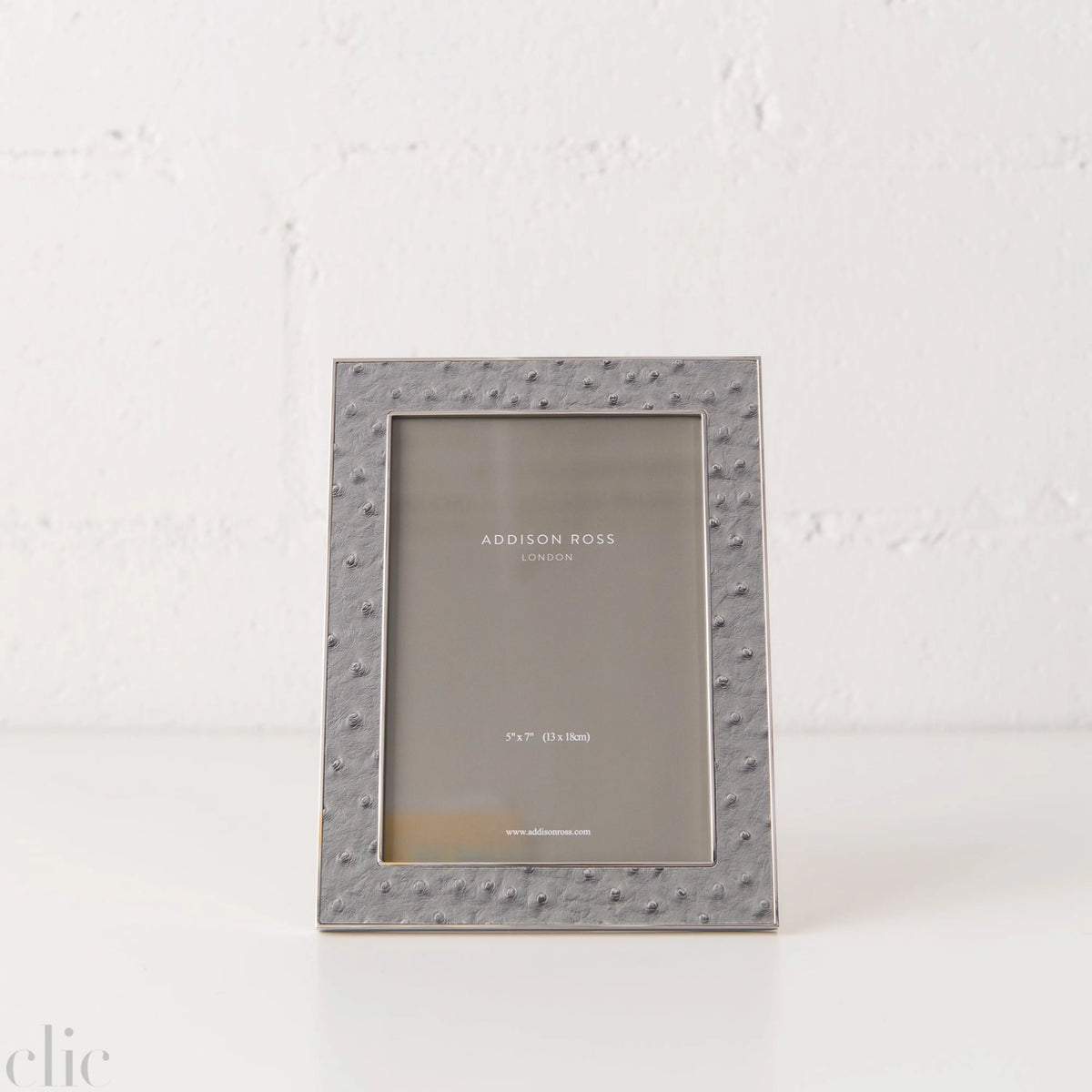 5x7 Urban Ostrich & Silver Frame
