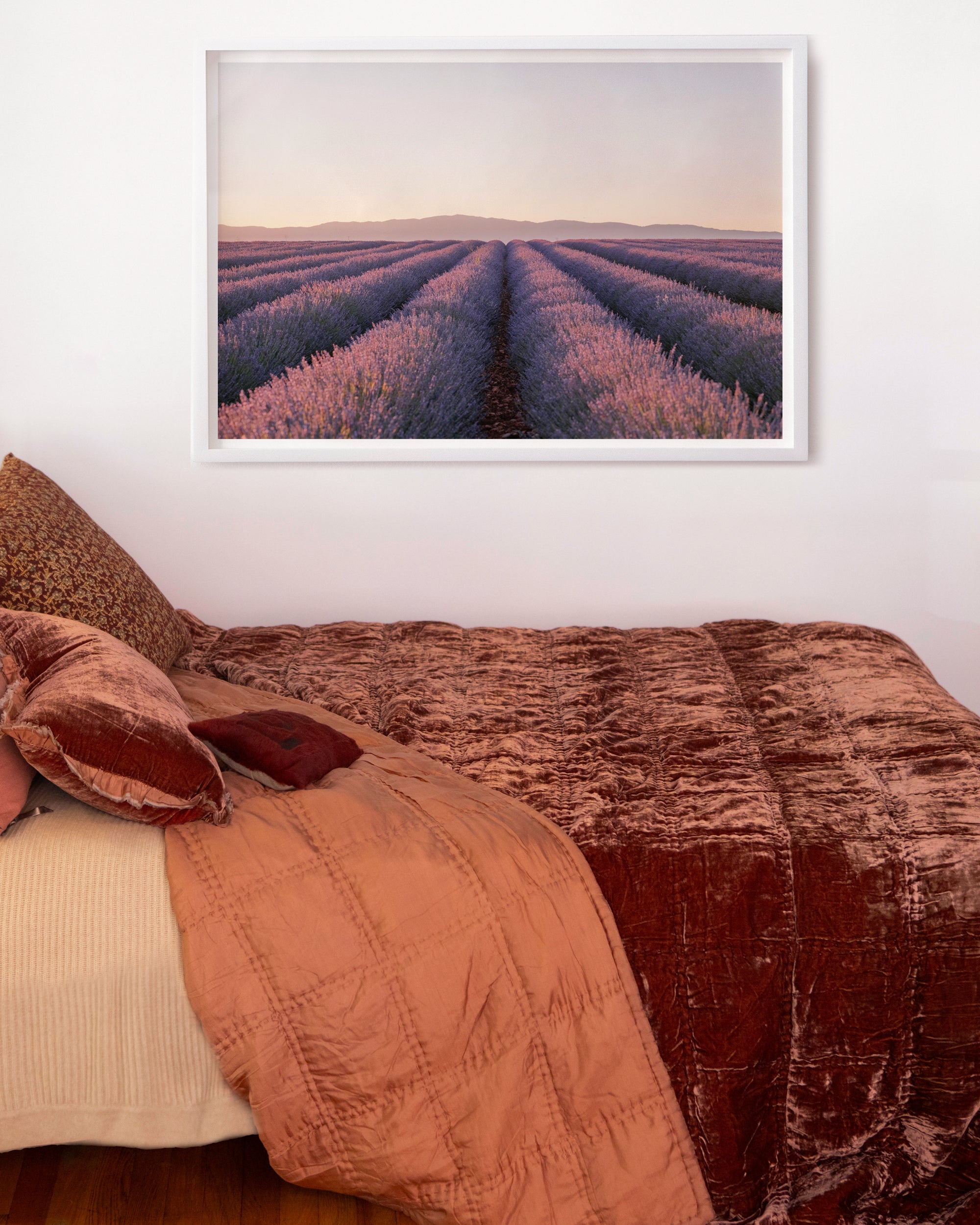 Lavender Dusk by Kate Holstein