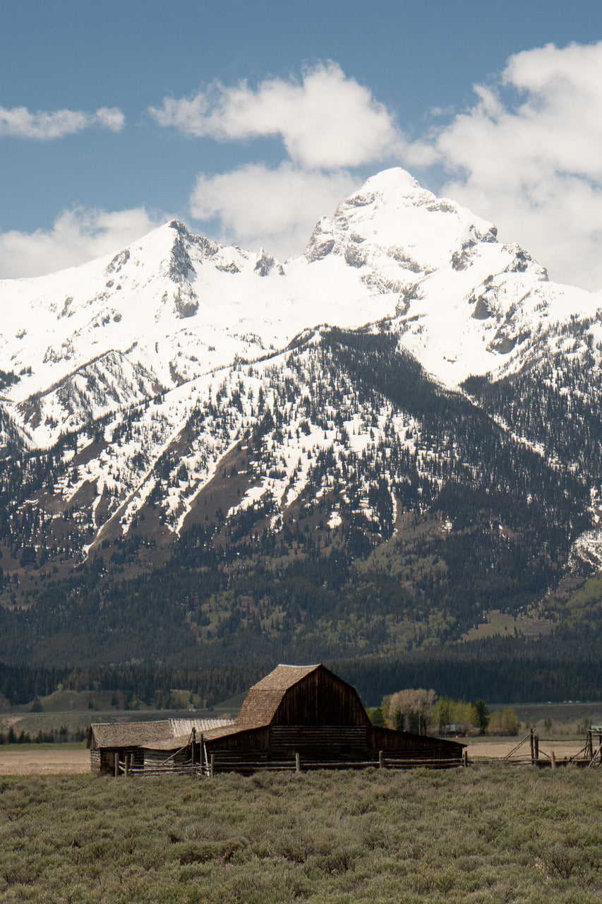 Grand Teton National Park by Nick Turner