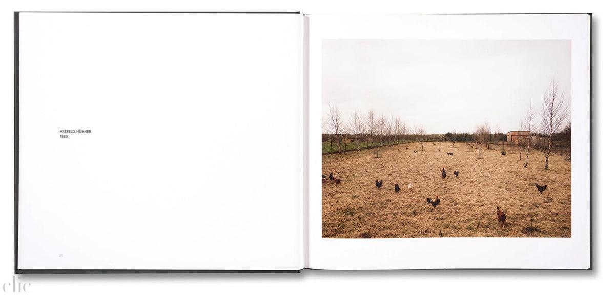 Visual Spaces of Today Andreas Gursky