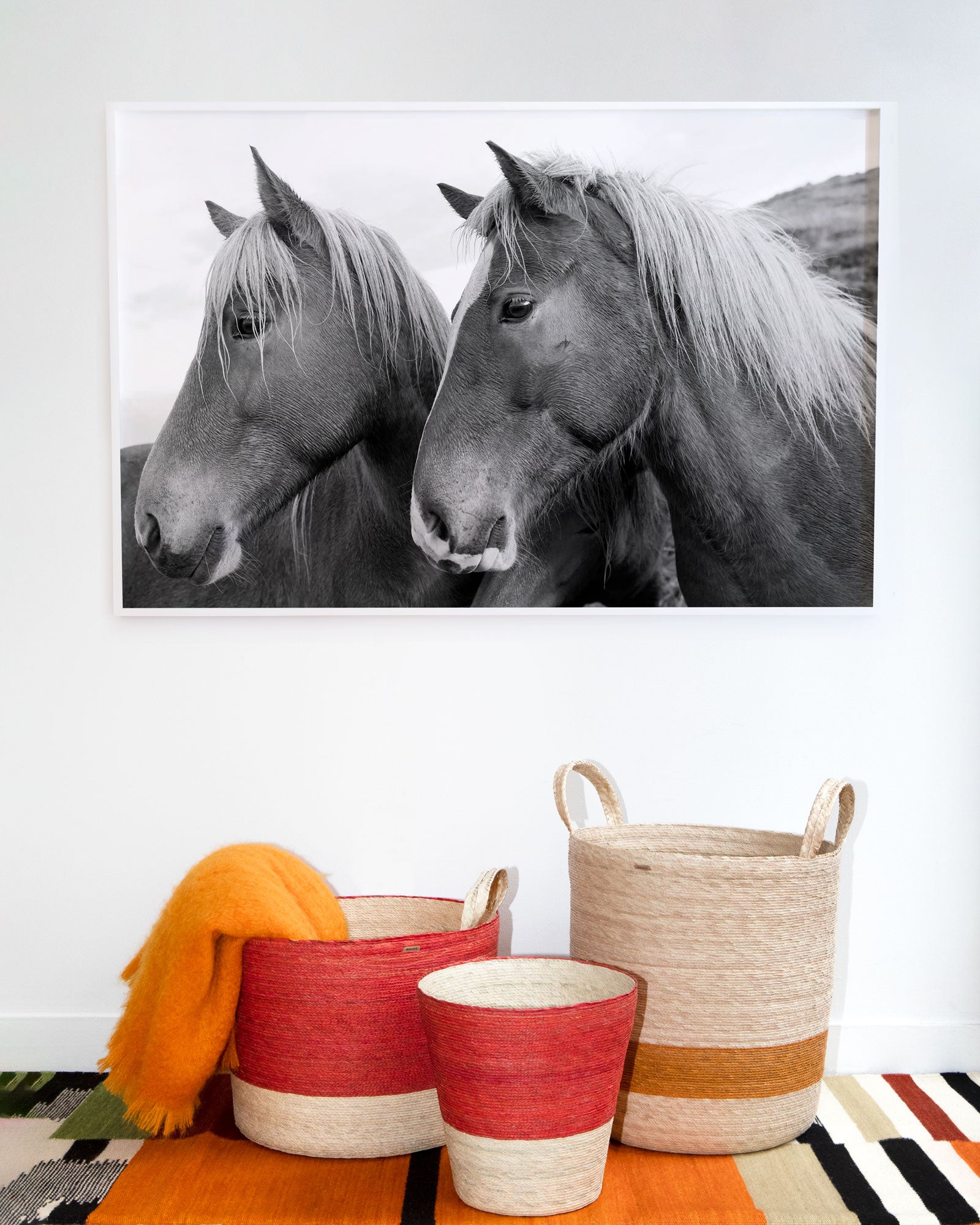 Icelandic Horses, Profiles by Nick Turner
