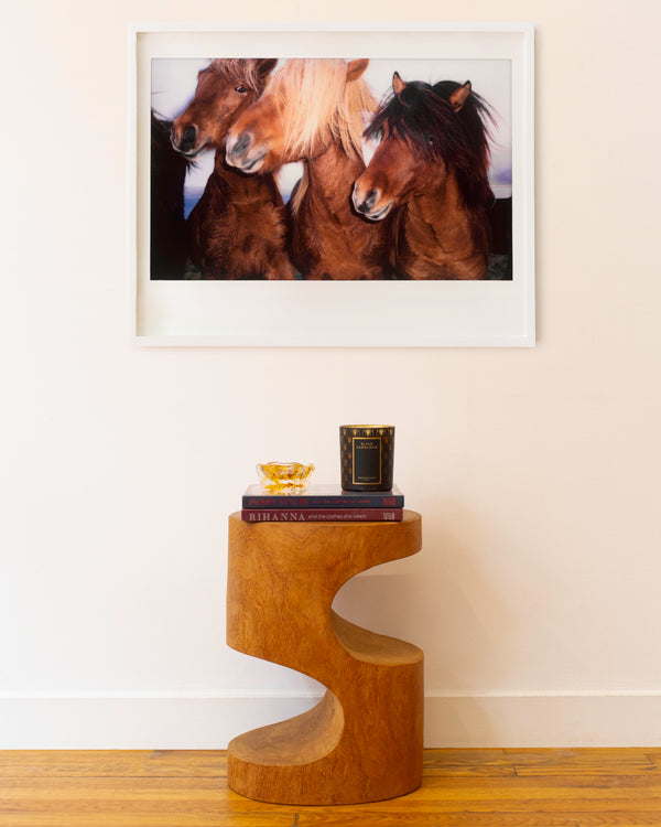 Icelandic Horses Polaroid by Nick Turner