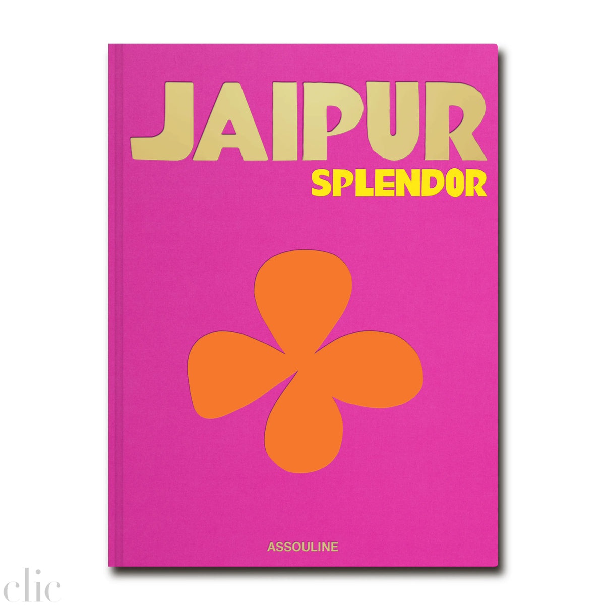 Jaipur Splendor