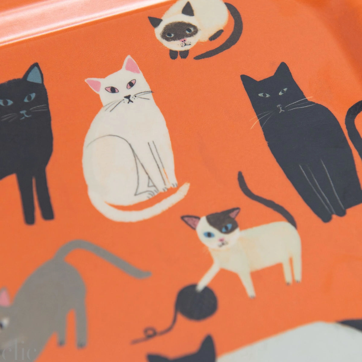 Small Cats Tray in Orange, from Avenida Home