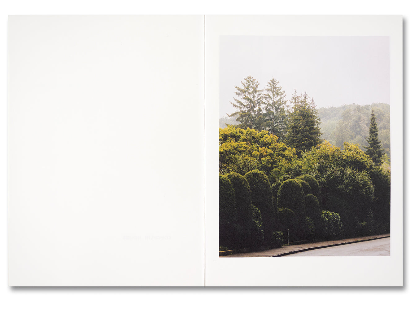 Koechlin House Daisuke Hirabayashi