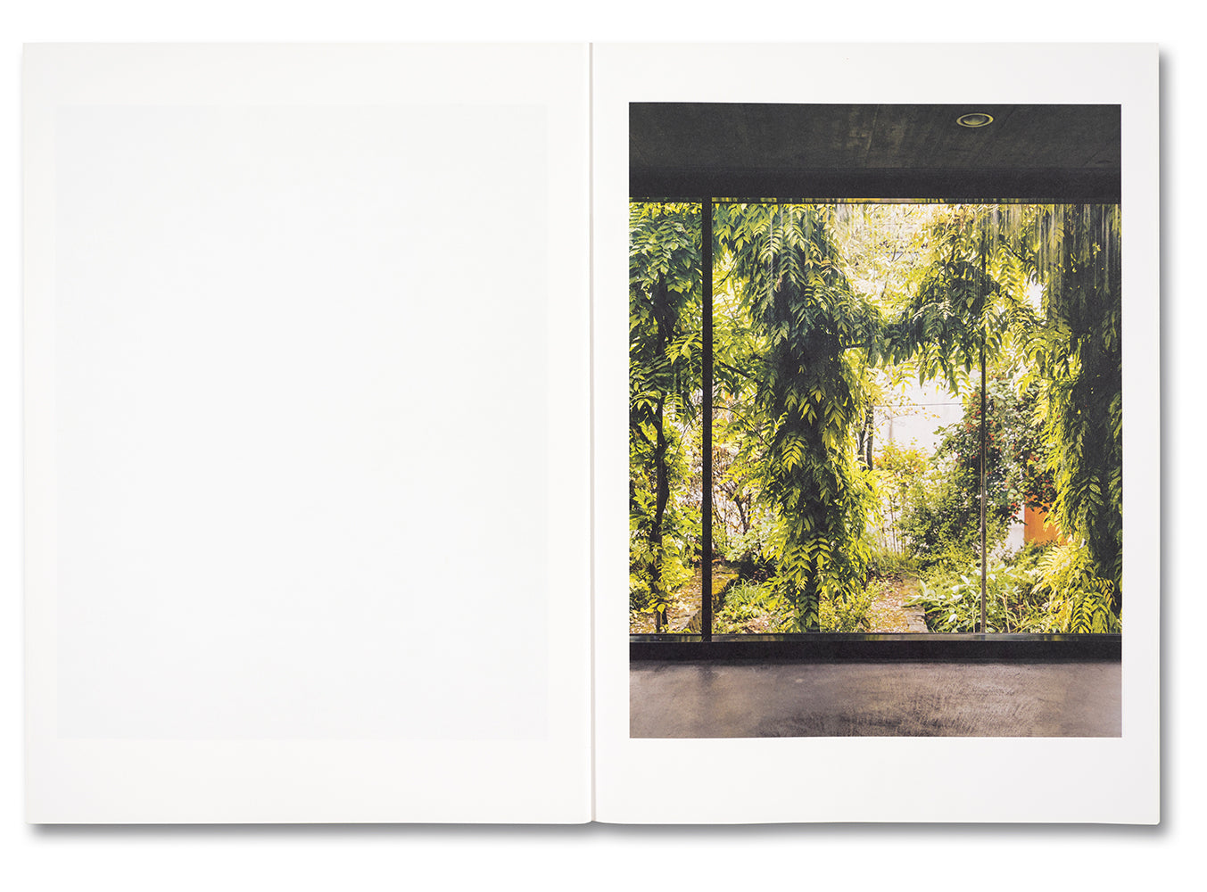Koechlin House Daisuke Hirabayashi