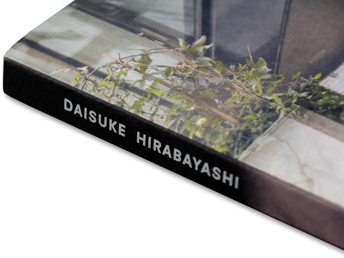 Koechlin House Daisuke Hirabayashi
