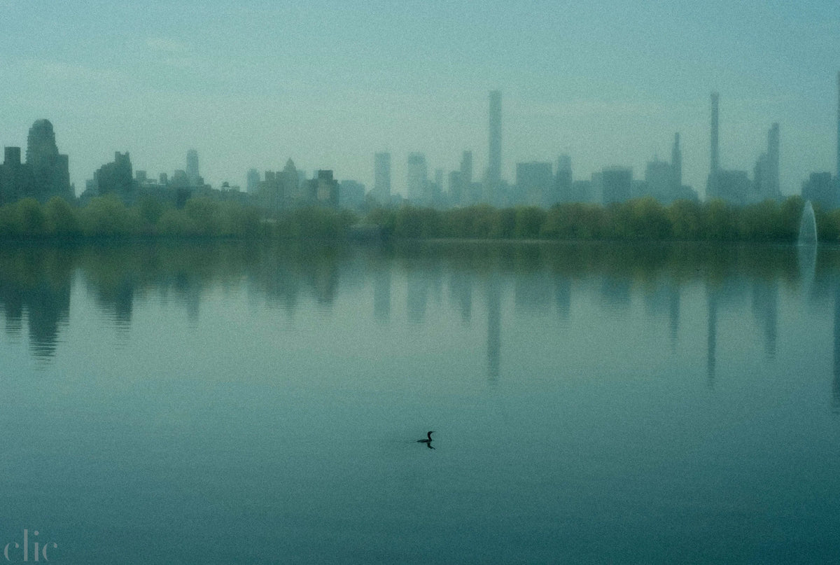 Central Park 1 by Gregg Delman
