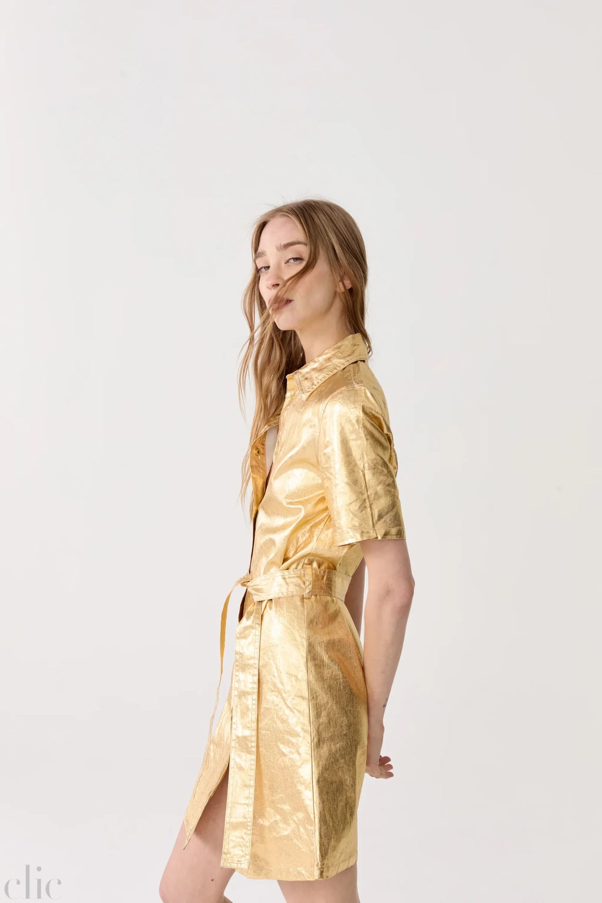 Franca Metallic Linen Dress in Gold, from Lanhtropy