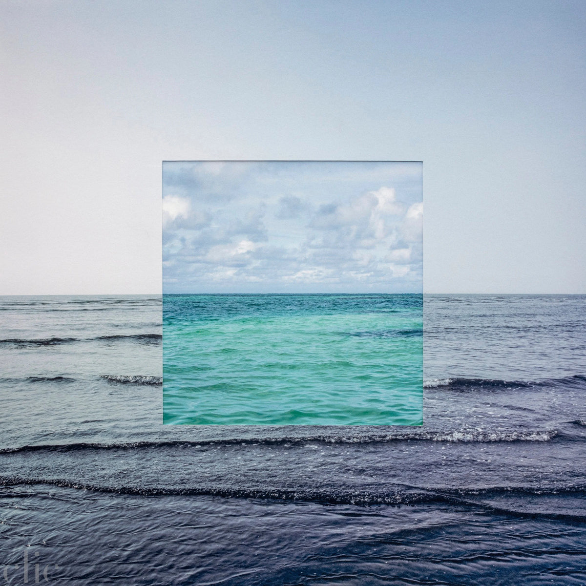 Fathom Line #7 by Magda Biernat