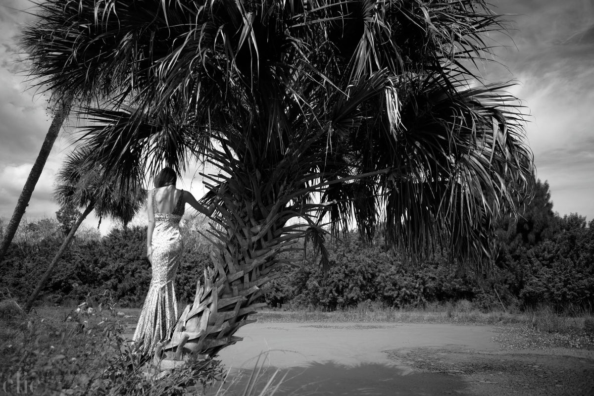 Alligator Pond by Charity de Meer