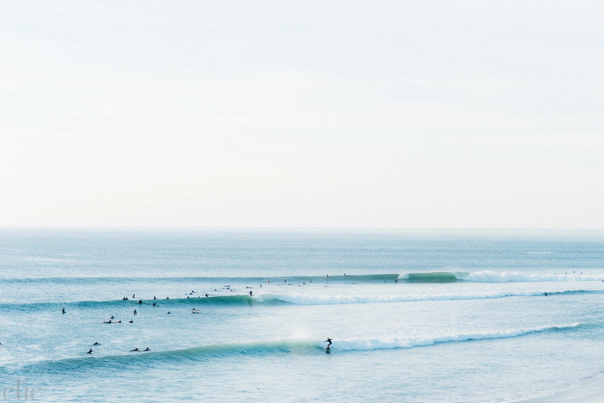 Surfrider Lineup by Kate Holstein