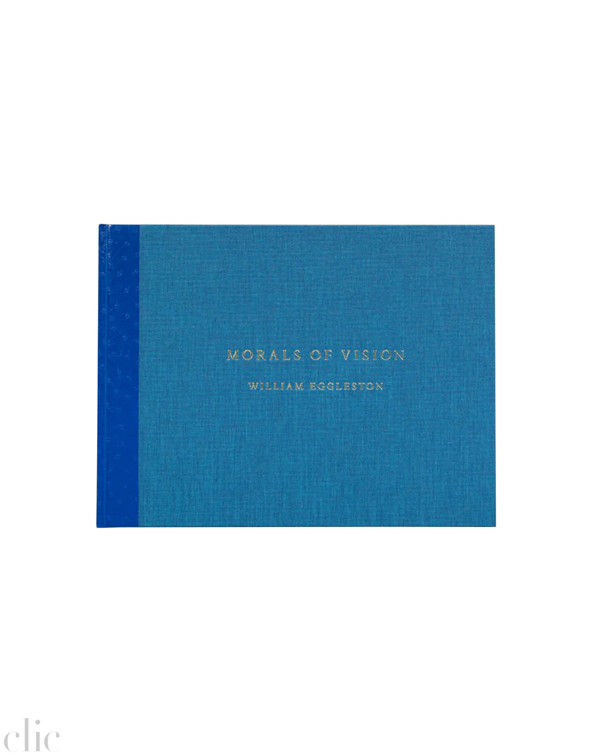 Morals of Vision by William Eggleston