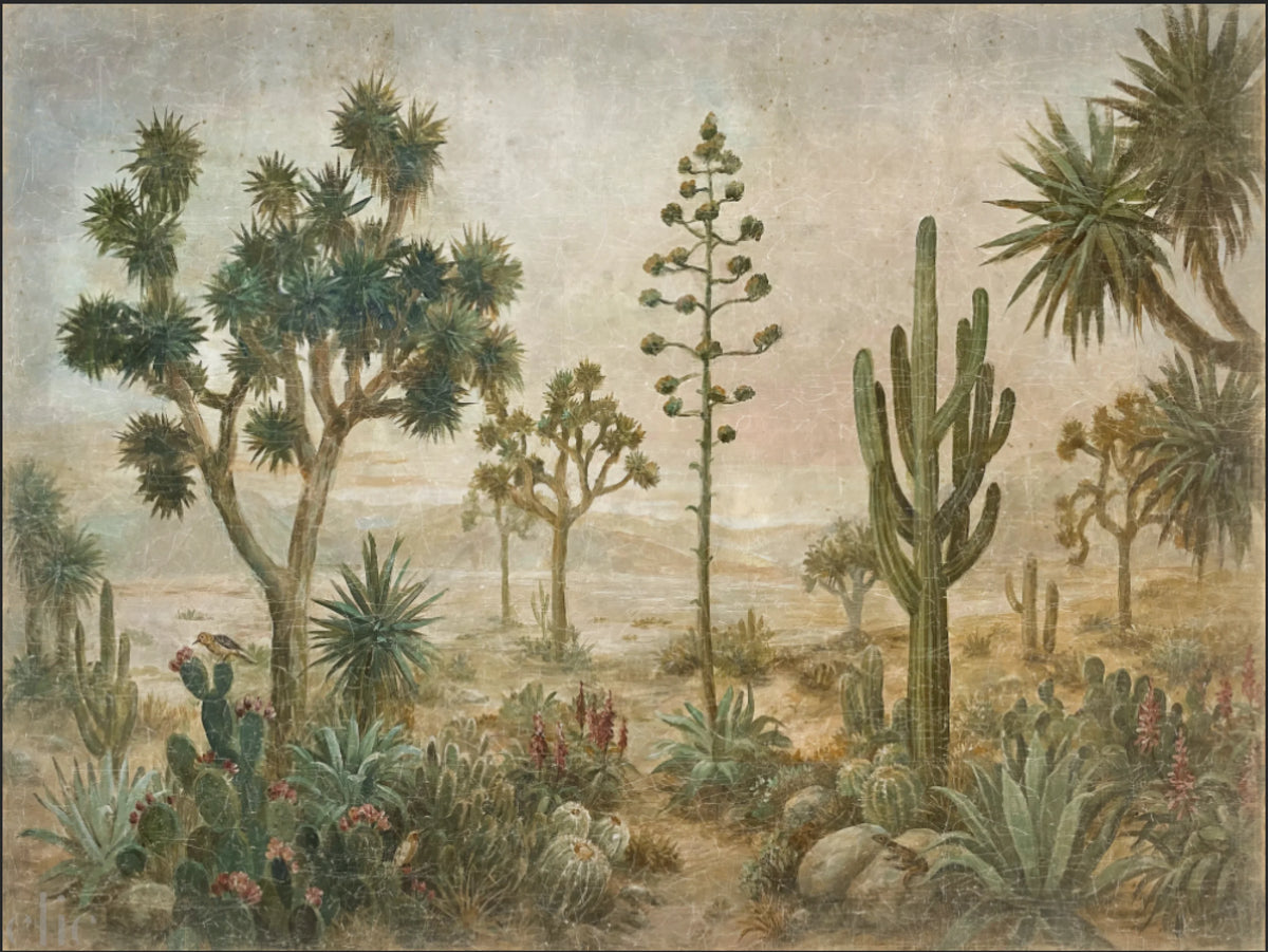 Desert De Cactus, from Alfonz