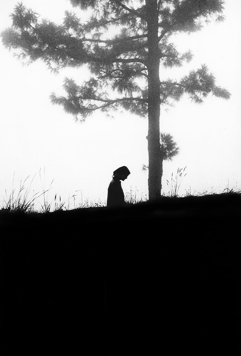 November Girl - Looking down under by Sam Haskins