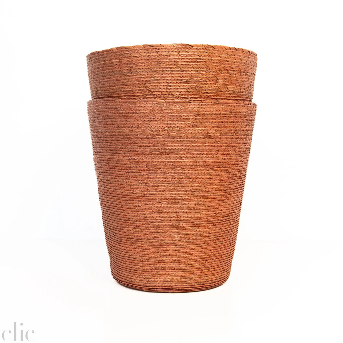 Conical Petalo