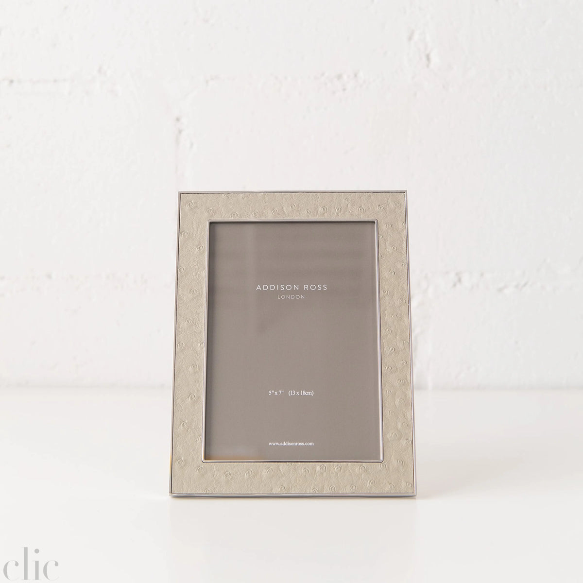 5x7 Shadow Ostrich & Silver Frame