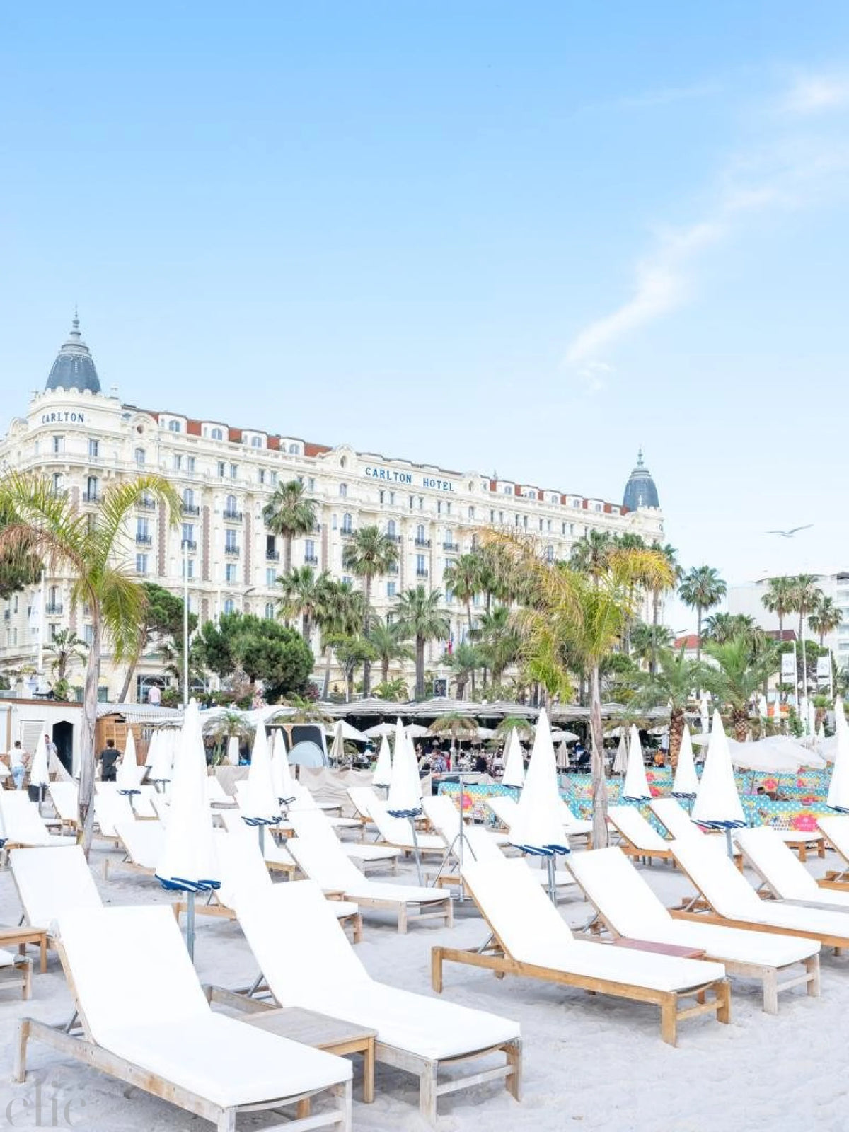 French Riviera - Carlton Vertical by Juliette Charvet