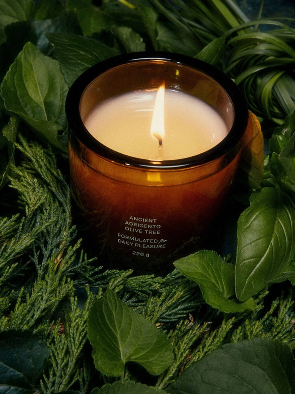 Olive Tree Candle, from Flamingo Estate