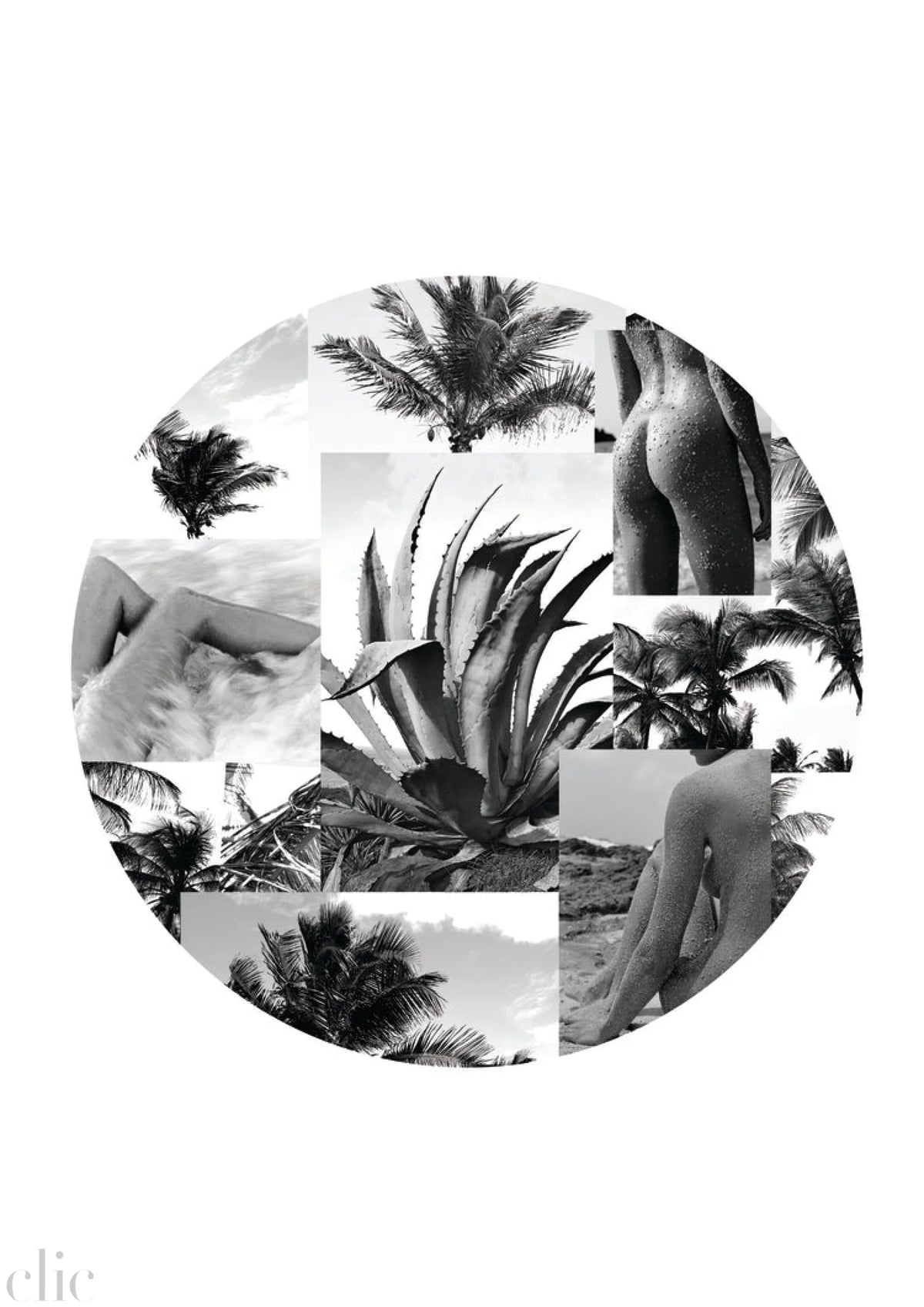 Collage by Antoine Verglas