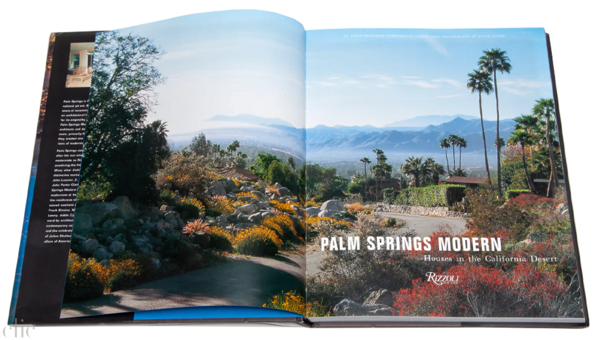 Palm Springs Modern: Houses in the California Desert
