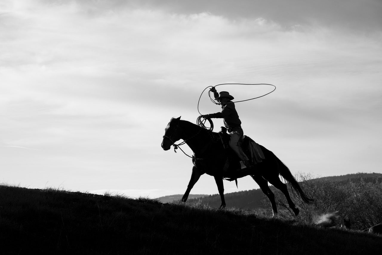 Roping with Grant by Nick Turner