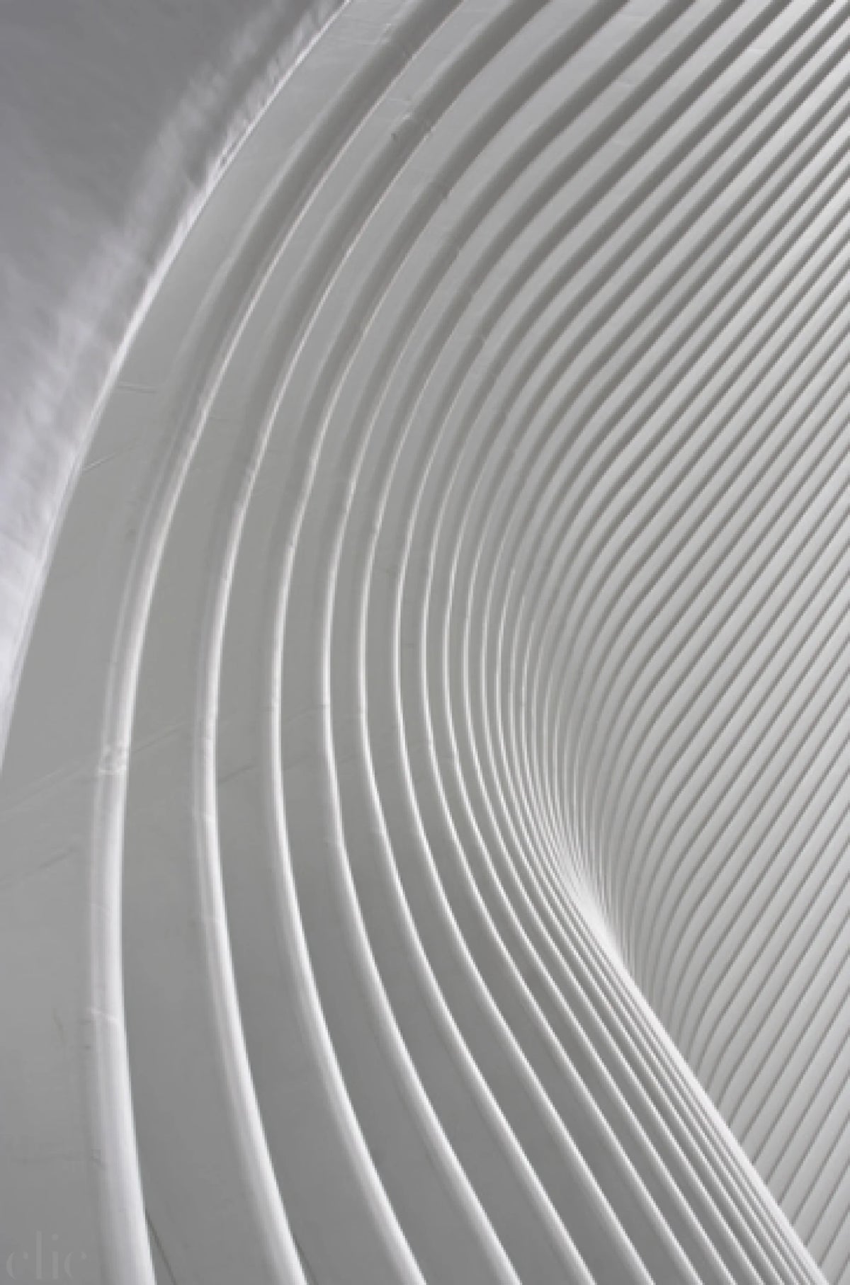 Calatrava by Nathalie Martinez