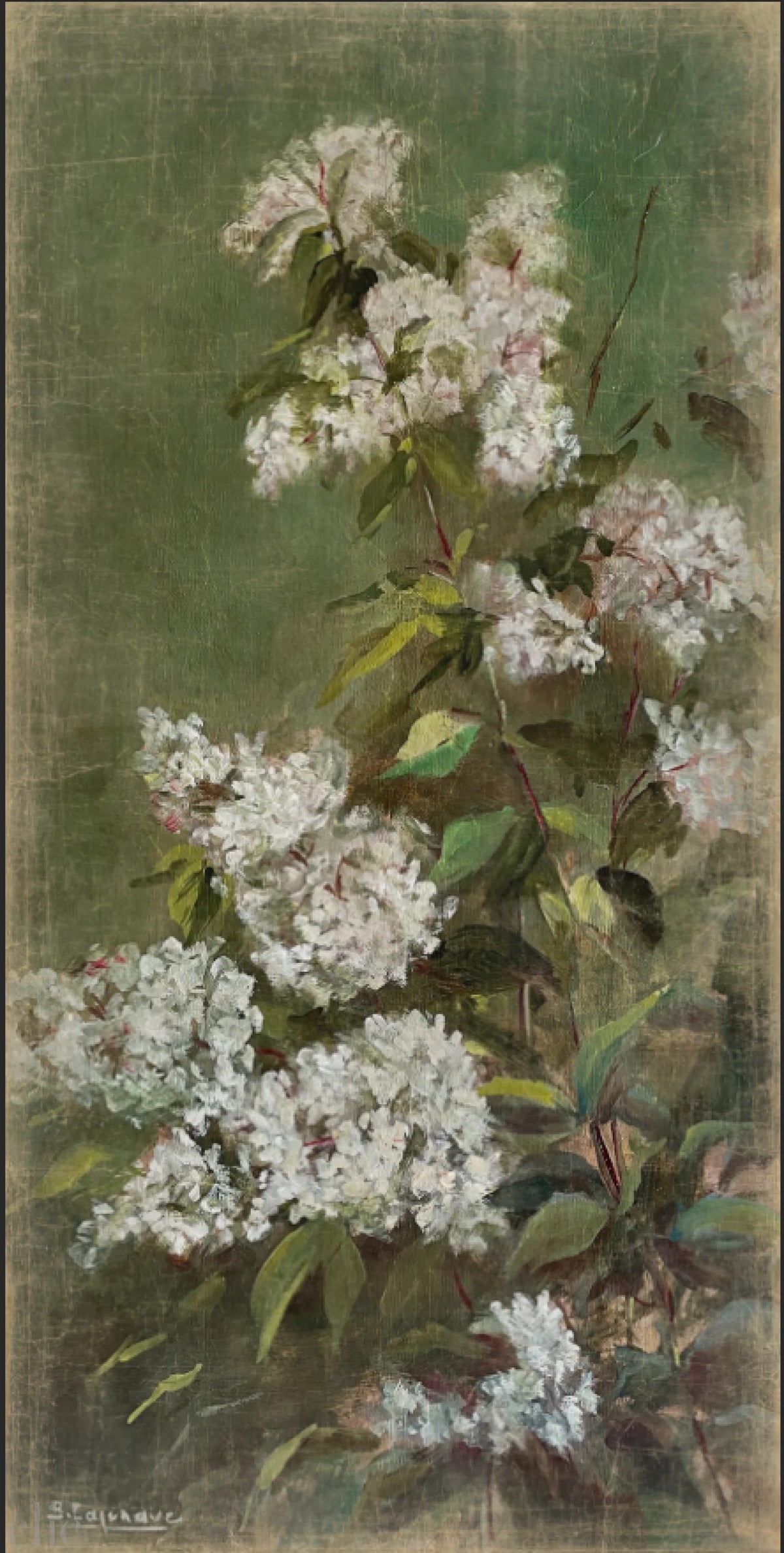 Les Lilas, from Alfonz